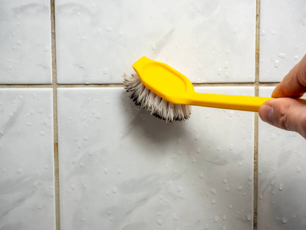 Best Black Mold Removal  in Hamburg, IA