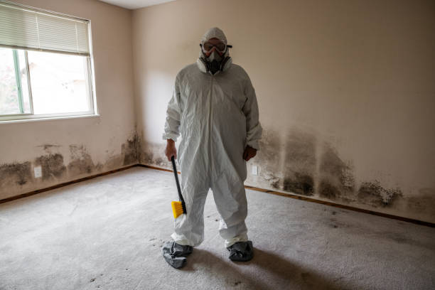 Best Crawl Space Mold Removal  in Hamburg, IA